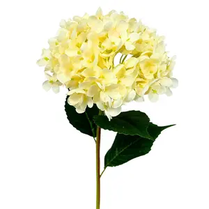 Princess Hydrangea Stem - Cream - 28” |YSE