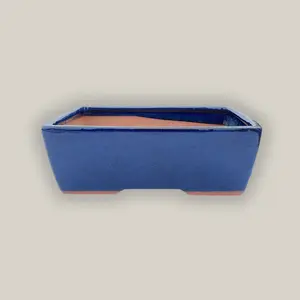 374L15 - Dark Blue Bonsai Pots - Rectangular
