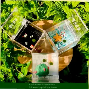 3-Piece Serene Marimo Cube Terrarium Set: DIY Your Desktop Zen Oasis, Complete Low-Maintenance & Low-Light Ecosystem Kit for Mindfulness, A Calming Closed Micro Landscape (Includes LIVELY Moss Ball Pet)