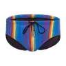 Bulge Boost Swim Brief - Rainbow Ripple