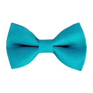 Teal Bow Tie