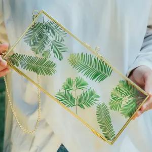 NCYP Small 4.1" x 9" Clear Glass Display Frame for Picture, Certificate, Photo, Card, Pressed Dried Flower, Gold, Rose Gold, and Black