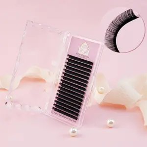 Classic Lash Trays