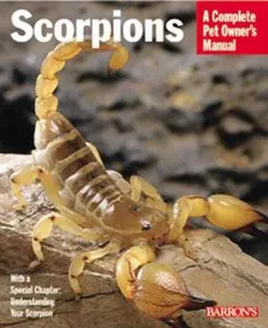 USED-Scorpions: Everything About Purchase, Care, Feeding, and Housing (Complete Pet Owner's Manual) by Manny Rubio (Paperback)