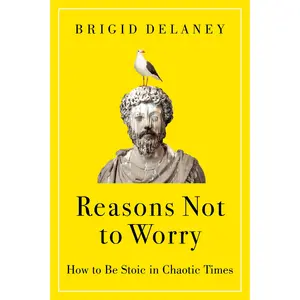Reasons Not to Worry: How to Be Stoic in Chaotic Times by Brigid Delaney [Hardback Book]
