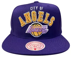 Men's Mitchell & Ness Purple NBA Los Angeles Lakers ZZ HWC Snapback