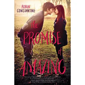 The Promise of Amazing by Robin Constantine [Paperback Book]
