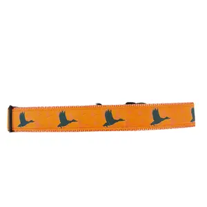 Orange Duck Dog Collar