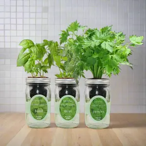 Garden Fresh - Basil, Mint, Parsley