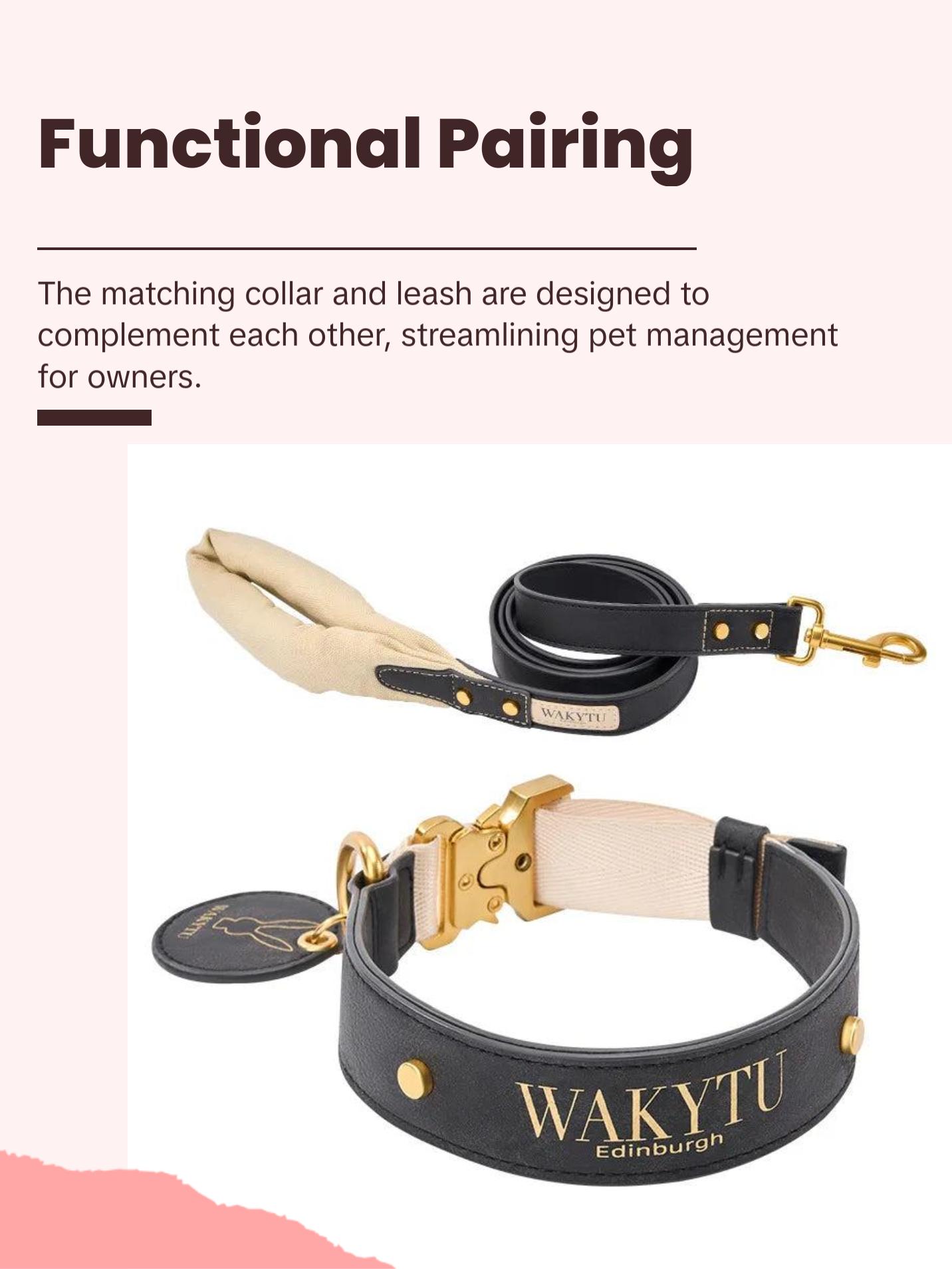 Luxury Leather Dog Collar & Leash with Padded Handle