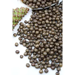 Clay: Real Acai Beads from South America, 8-10mm / Pick your Qty