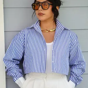 Lizbeth pinstripe cropped button up shirt