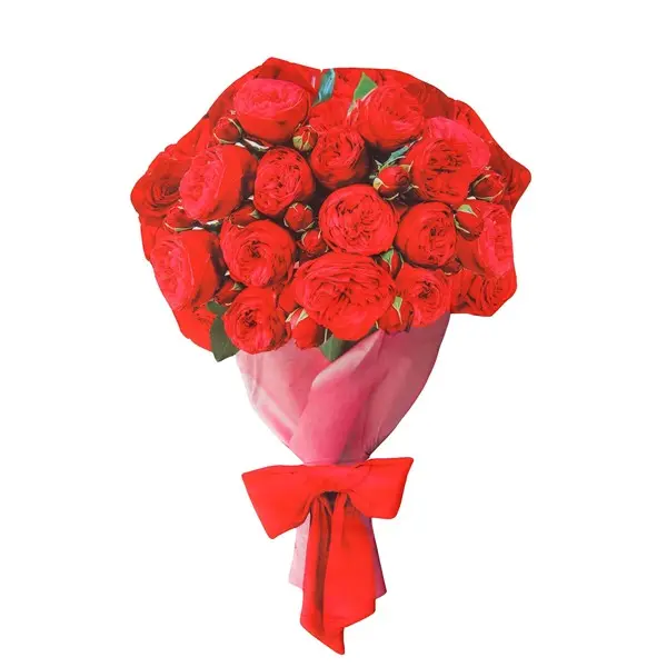 Bouquet of Roses Sandwich Board Costume