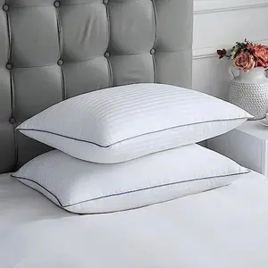 100% Egyptian Cotton Pillow Protector with Zipper 2 Pack Hypoallergenic Oeko-Tex Certified Machine Washable Queen Size 20x30In