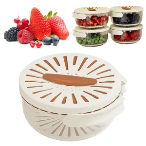 Multifunctional Fruit and Vegetable Washing Bowl, 2025 New Fruit Strainer Container with Lid, Fruit Drainer Container with Handle, Suitable for Washing Berry and Vegetables