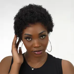 Dultev 13x6 Glueless Pixie Cut Wigs 009  for Women 180% Density Glueless Lace Front Layered Luxury Beauty HD Human Hair Wig