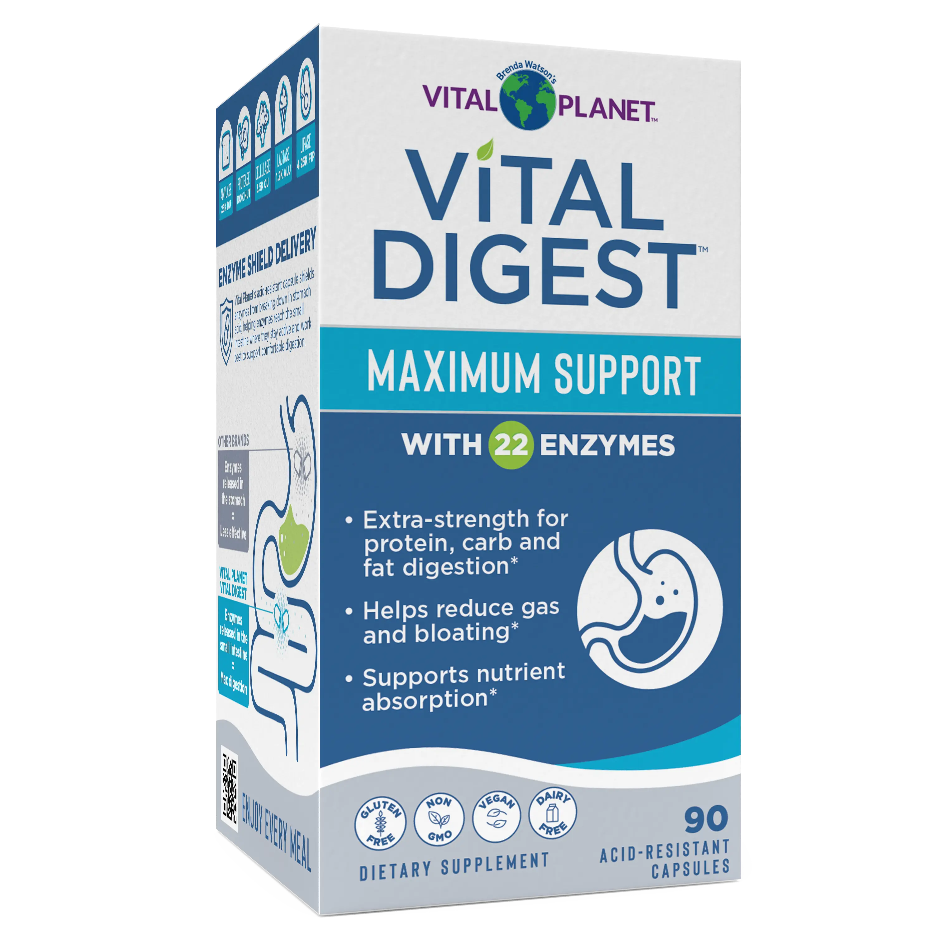 Vital Digest - Maximum Support Enzyme Supplement