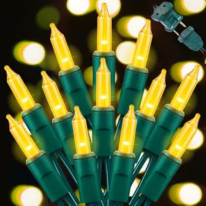 LAMPHOME 2-Pack Christmas Yellow String Lights - 100 Count Mini Lights Each, 20ft Green Wire for Outdoor/Indoor Christmas Decor, Wedding & Valentines Day Décor