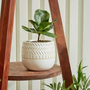 Vitruvian Ceramic Planter