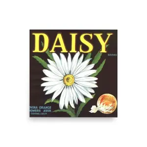 Vintage Crate Label Art Print 8x8 10x10 12x12 14x14 16x16 Daisy Sunkist Flower Fruit Home Decor Black White