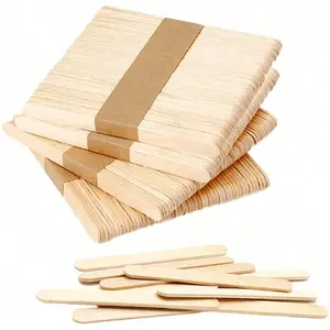50/100/200 Pcs Wooden Ice Pop Sticks, Multifunctional Ice Cream Sticks, Natural Wood Craft Rods, DIY Snack Tools, Home Art Projects