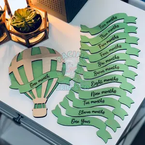 Monthly Milestone Hot Air Balloon set