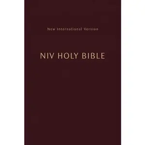 USED-Niv, Holy Bible, Compact, Paperback, Burgundy, Comfort Print by Zondervan (Paperback)