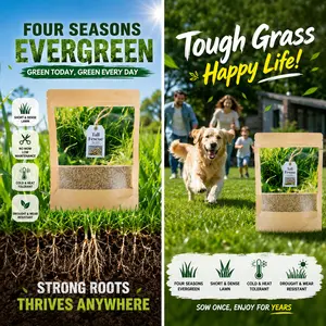 6000 Seeds Rapid Growth Lawn Grass – No Bald Spots, All-Weather Hardy, Perfect for Dense Turf & Golf Greens  #Summervibes