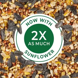Wild Bird Food, 40 Pound Grain Products, Black Oil Sunflower Seed, Vitamin A Supplement, Vitamin D3 Supplement