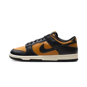 Dunk Low Retro "Desert Ochre" HF5441 701