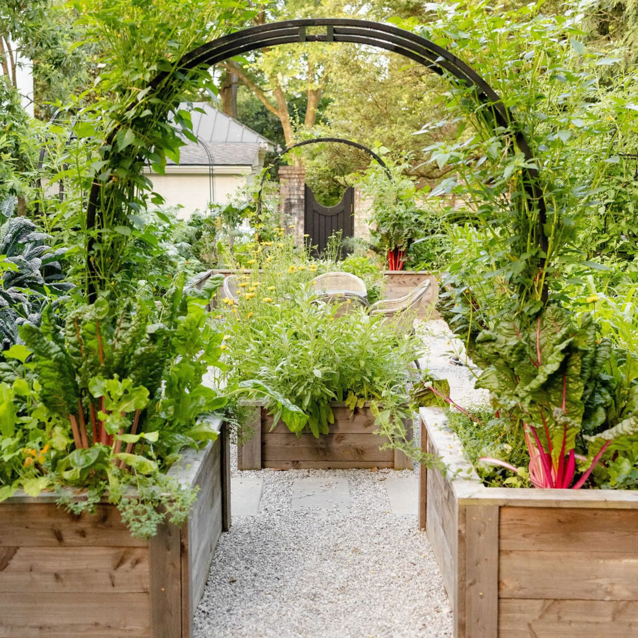 Nicole Arch Trellis - Tool-Free Assembly, Powder-Coated Black Steel, Supports Edible & Ornamental Vines, Includes Digital Gardenary Guide