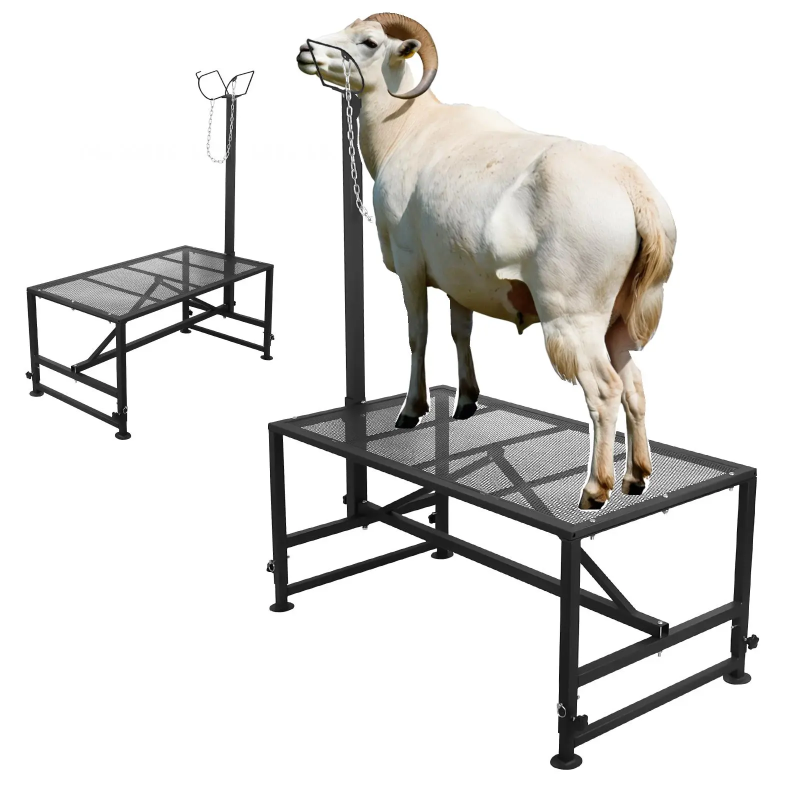 Goat & Sheep Stand, 47x23 inch Livestock Stand, Metal Livestock Milking and Shearing Stand 20"to 34" Adjustable Height, with Headpiece and Nose Loop, 500lbs Loading Weight, Black