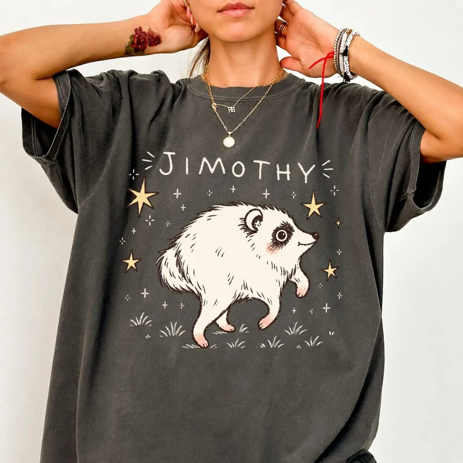 Funny Raccoon Jimothy Comfort Color Shirt, Viral Seattle Raccoon Tee, Funny Internet Meme T-Shirt