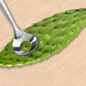 Premium Stainless Steel Cactus Peeler with Hole Spoon, Modern Cactus Cutter Tool, Practical Kitchen Cooking Supplies & Kitchen Appliances (Silver)