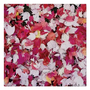 Fall Leaves Cloth Napkins