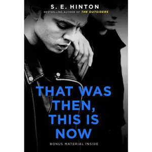 USED-That Was Then, This Is Now by Hinton, S. E. (Paperback)