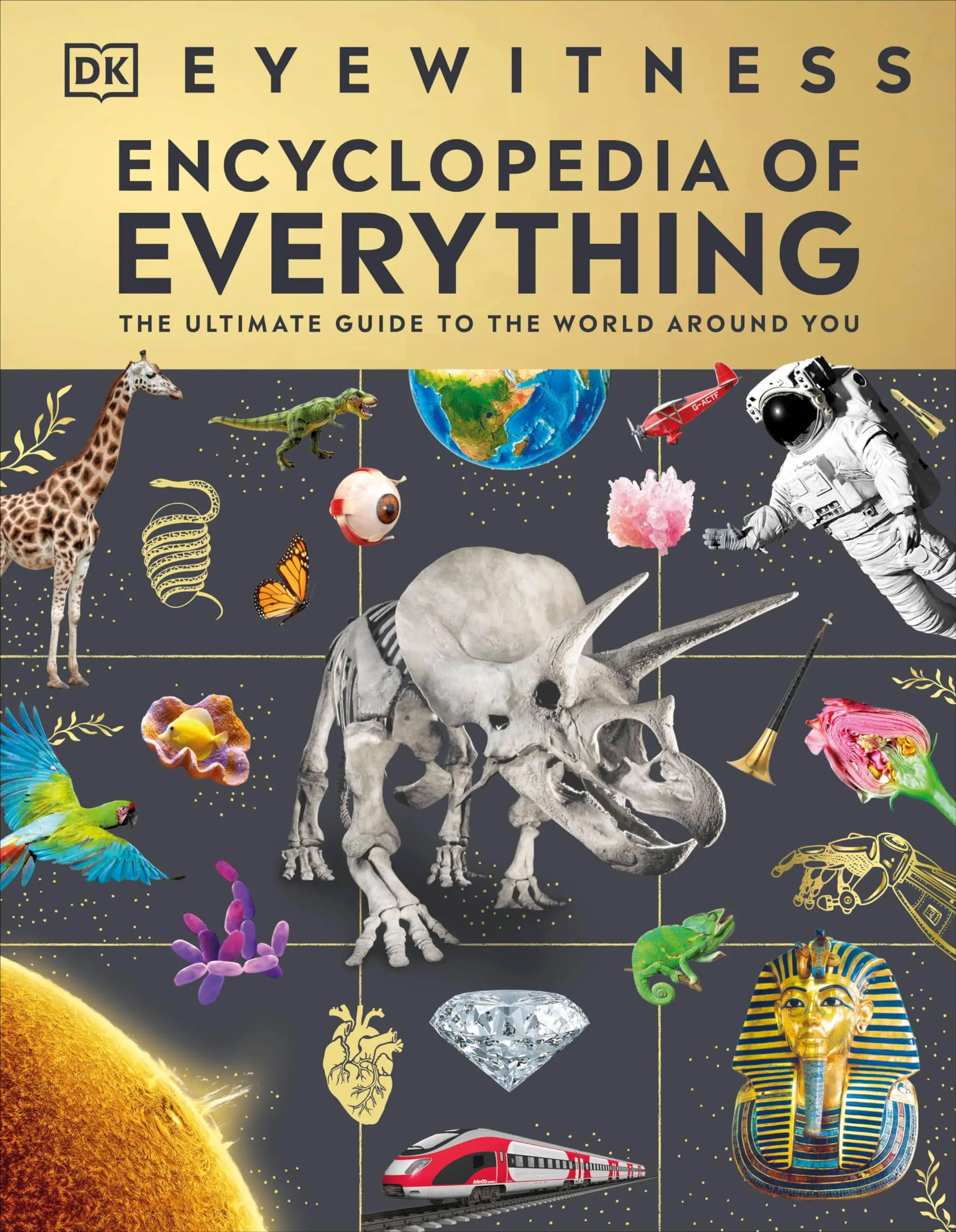 Eyewitness Encyclopedia of Everything: The Ultimate Guide to the World Around You -- DK - Hardcover