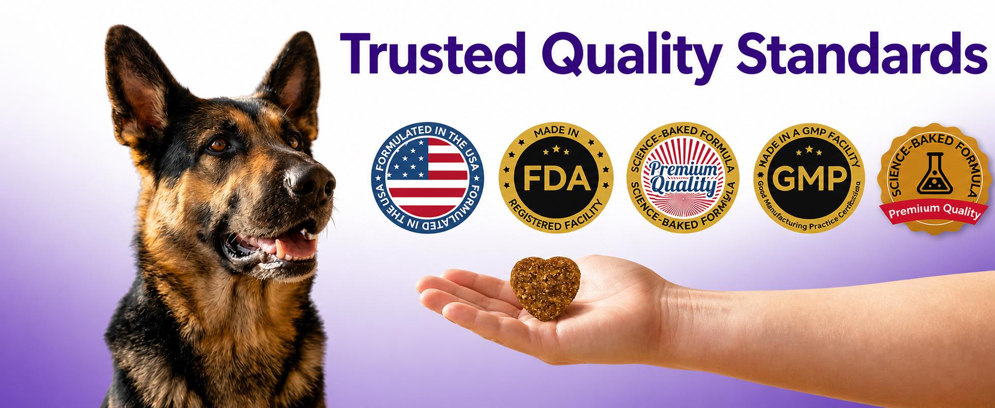 180ct Dog & Cat Prebiotic & Probiotic Soft Chews - 4-Strain 5B CFU, Digestive Enzymes, Organic Inulin - Chicken Flavor for Gut Balance, Immune Health, Digestion, Stool Quality Support 180ct Dog & Cat Prebiotic & Probiotic Soft Chews - 4-Strain 5B CFU, Digestive Enzymes, Organic Inulin - Chicken Flavor for Gut Balance, Immune Health, Digestion, Stool Quality Support