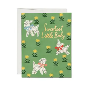 Baby Lamb Card