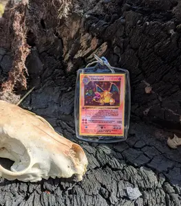 Custom Charizard Keychain Amiibo for Nintendo Switch 3DS Unique Custom Parody