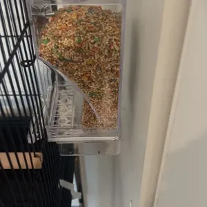 Bird Feeder Parrot No Mess No Drill Automatic Cage Feeder Dispenser Clear Seed Container for Small Medium Birds Parakeet Cockatiel Canary Lovebird Conure Cockatoo Transparent Material Easy Installation High Cost-Effective for Bird Lovers