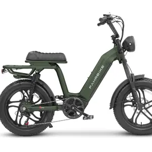 Fahrbike Roadster73 Plus Moped-Style eBike with 750W Motor, 48V Battery, 20" Tires, & Adjustable Seat Riser for Urban Commutes & Off-Road Adventures