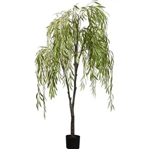 2PC Hybrid Willow Tree Plants for Growing | Fast Privacy Hedge Row, Wind Block, Shade | Fast Growing - 12 Feet Per Year, Fast Growing Trees (2 Trees)thick Trunk Start