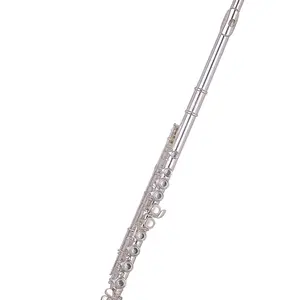 Wisemann Taurus 0901FL Flute, 16 holes, offset, Split E, with canvas case