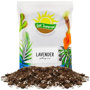 Lavender Potting Soil Mix