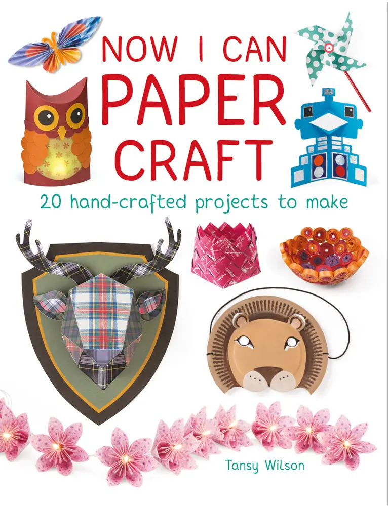 USED: Now I Can Paper Craft Paperback by Tansy Wilson - 20 Hand-Crafted Projects for Hobbies, Kids, Cards, Greetings with Tutorials, Animal, Techniques