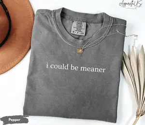 Comfort Colors I Could Be Meaner Shirt, Funny Sarcastic Trendy Shirt, Sarcastic Sweatshirt, Funny Quote Shirt, I could be meaner