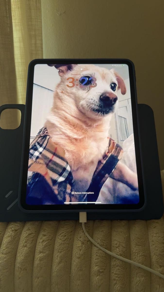 Item: Blue, iPad Pro 11【2024】