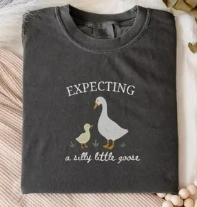 Comfort Colors Silly Goose Pregnancy Shirt,Pregnancy Announcement to Husband, First Time Mom Gift,Comfort Colors Pregnancy Shirt,Expecting Mom Gift