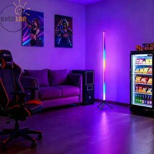 RGB LED Floor Lamp with Music Sync, 20 Dynamic Lighting Modes, USB Powered Portable Mood Light for Outdoor Camping Garden Tent